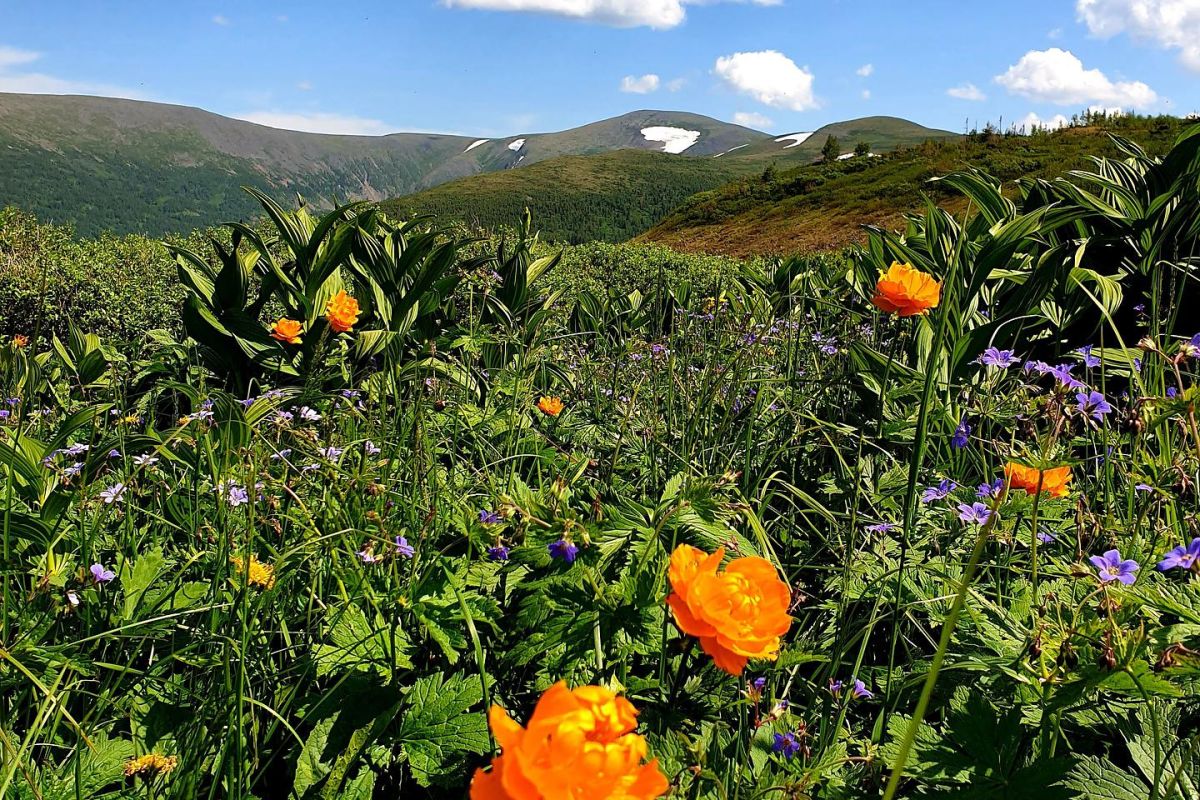 Ивановские озера - экспресс тур