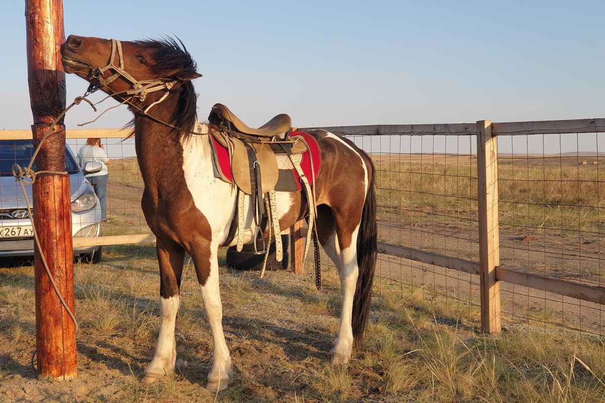 Путешествие к центру Азии - мини тур в Туву