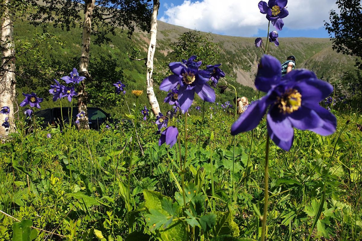 Ивановские озера - экспресс тур