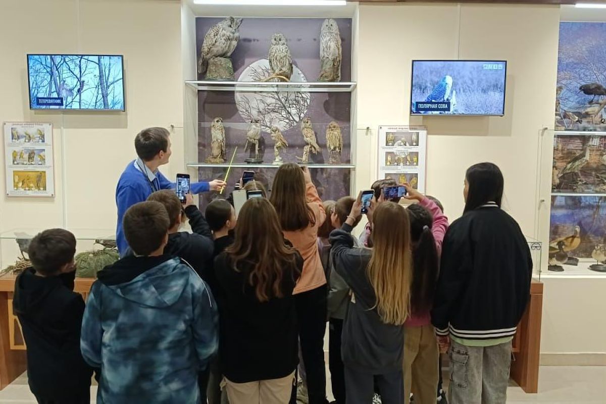 Экскурсия - эконом для школьников в Минусинск