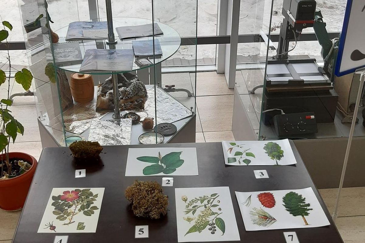 Экскурсионно-познавательная программа "Книга Саянской тайги"