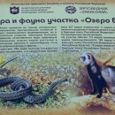Юрточный комплекс Скалки