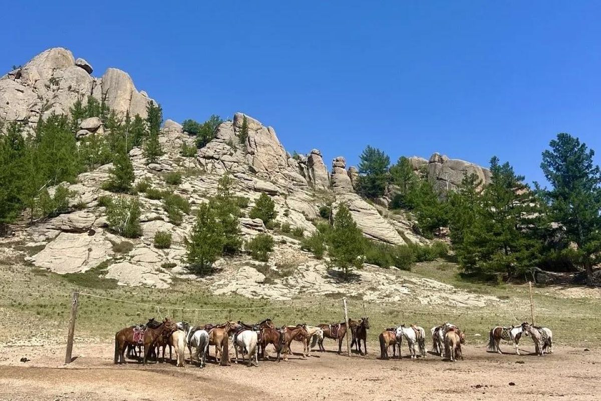 Экспедиционный тур в Монголию «Путь Великой Империи»