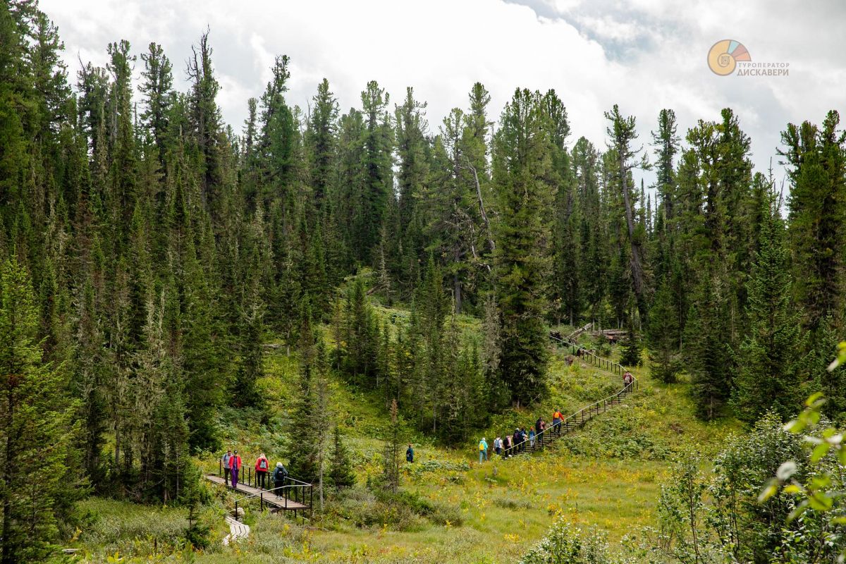 Тур выходного дня в природный парк «Ергаки»: посещение Висячего камня и Каменного города, без рюкзаков