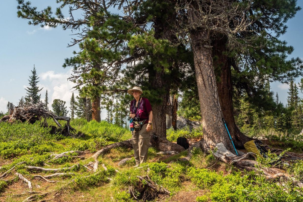 Тур выходного дня в природный парк «Ергаки»: посещение Висячего камня и Каменного города, без рюкзаков