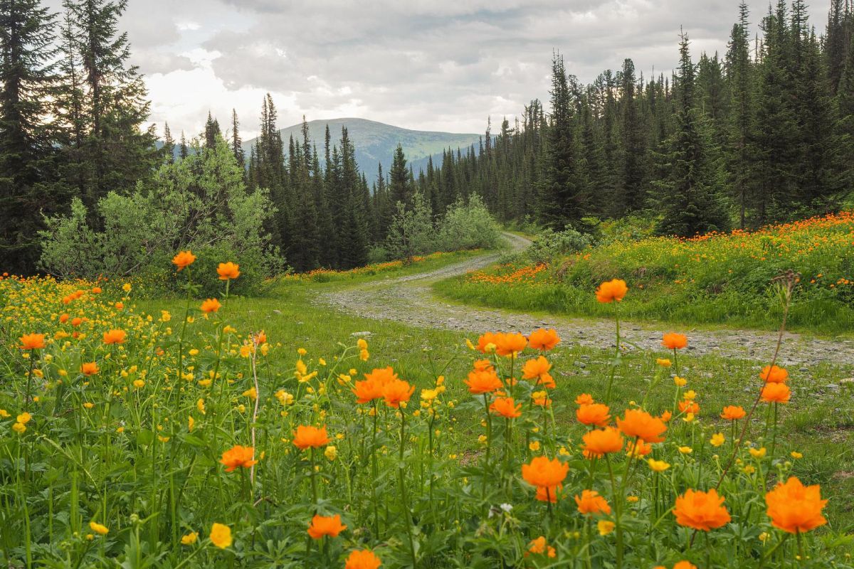 Тур выходного дня в природный парк «Ергаки»: посещение Висячего камня и Каменного города, без рюкзаков