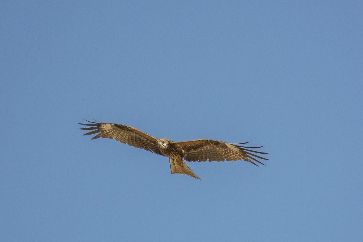 Экспедиционный тур в Монголию «Путь Великой Империи»