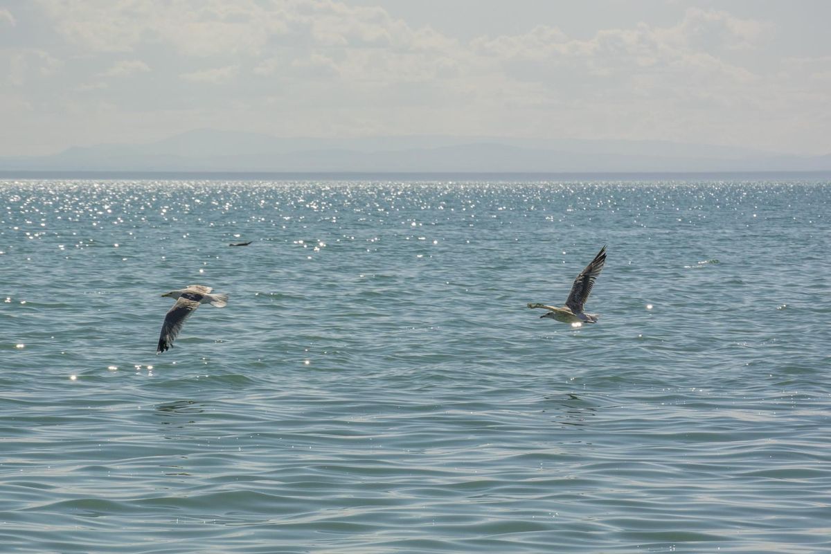 Экспедиционный тур в Монголию «Путь Великой Империи»