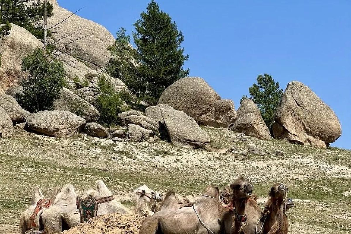 Экспедиционный тур в Монголию «Путь Великой Империи»