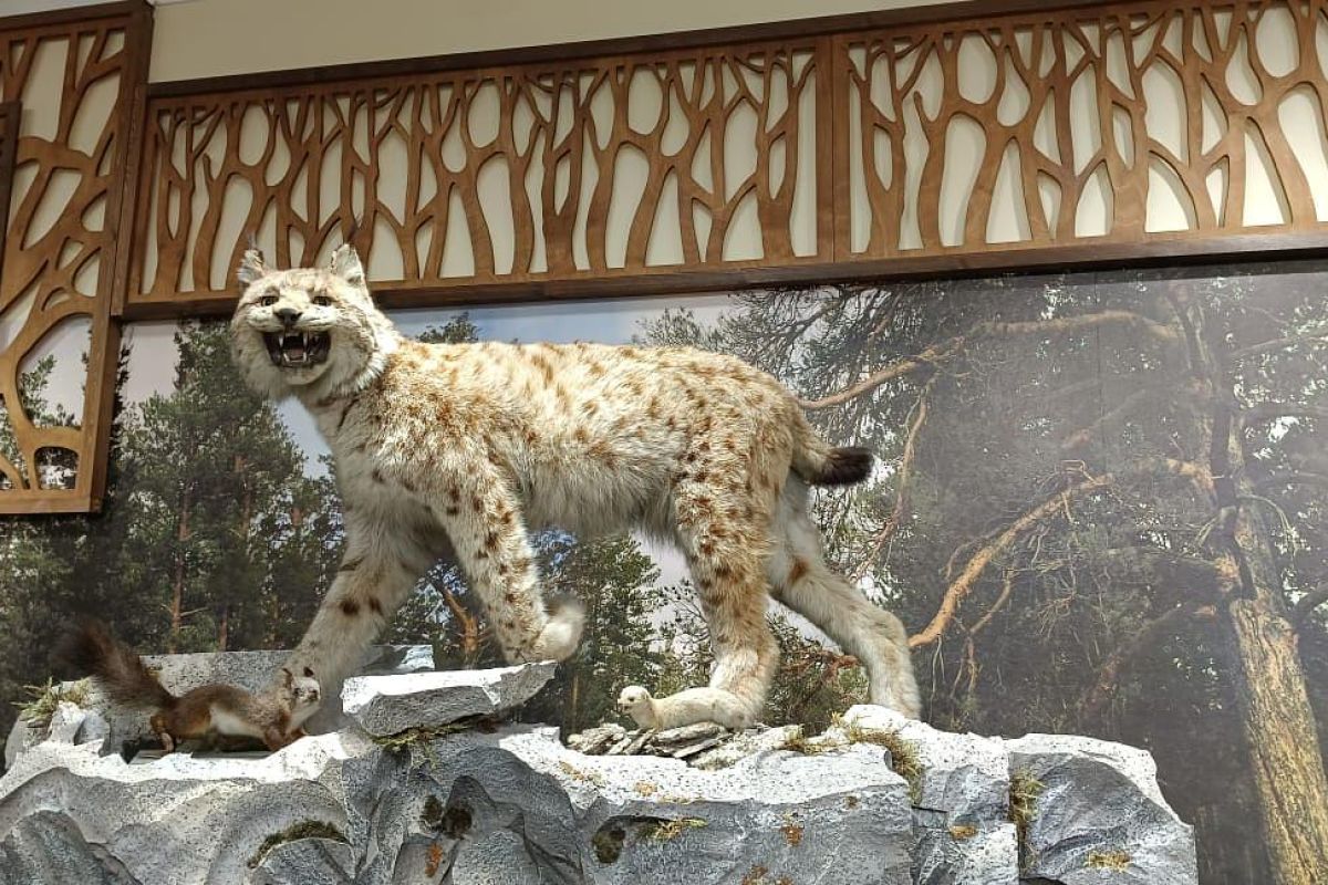 Экскурсия - комфорт для школьников в Минусинск