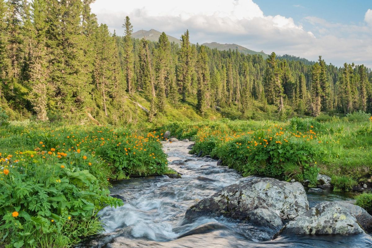 Тур выходного дня в природный парк «Ергаки»: посещение Висячего камня и Каменного города, без рюкзаков