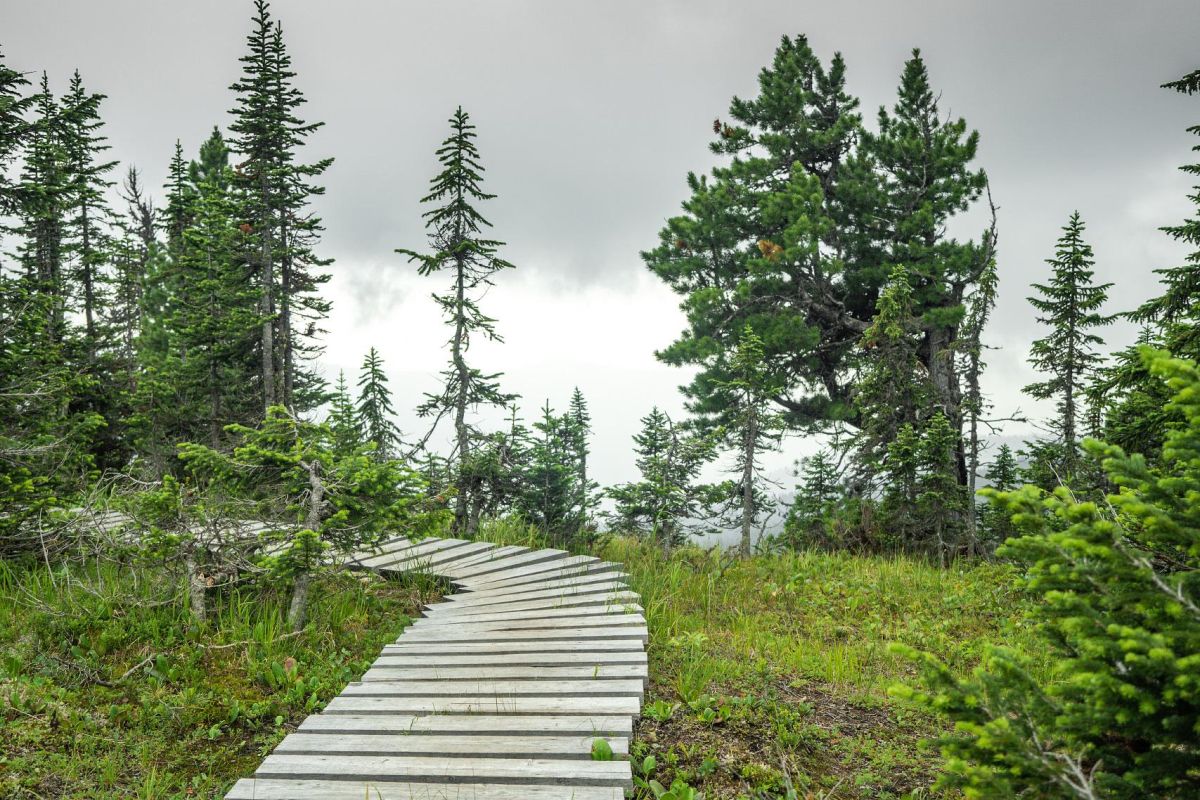Тур выходного дня в природный парк «Ергаки»: посещение Висячего камня и Каменного города, без рюкзаков