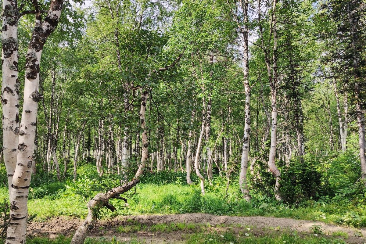 Тур комфорт на Ивановские озера - СЕЗОН 2026