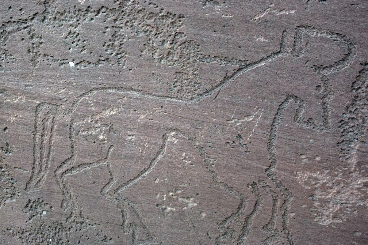 Экскурсия "Оглахты" + "Салбыкский курган"