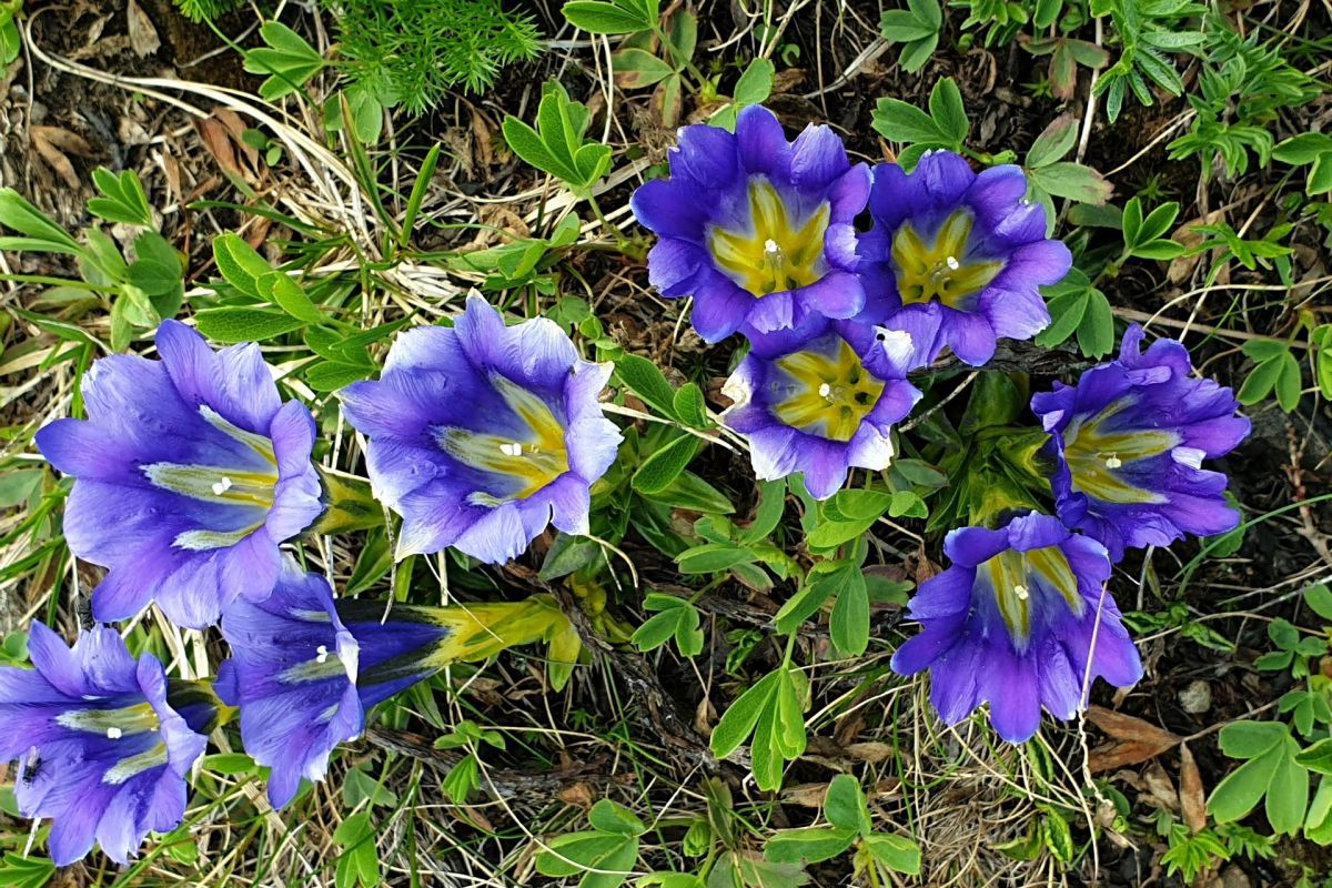 Тур комфорт на Ивановские озера - СЕЗОН 2026