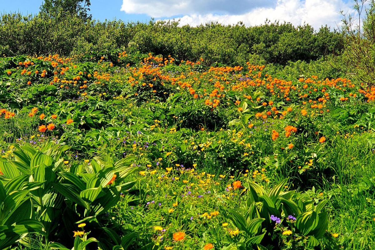 Тур комфорт на Ивановские озера - СЕЗОН 2026