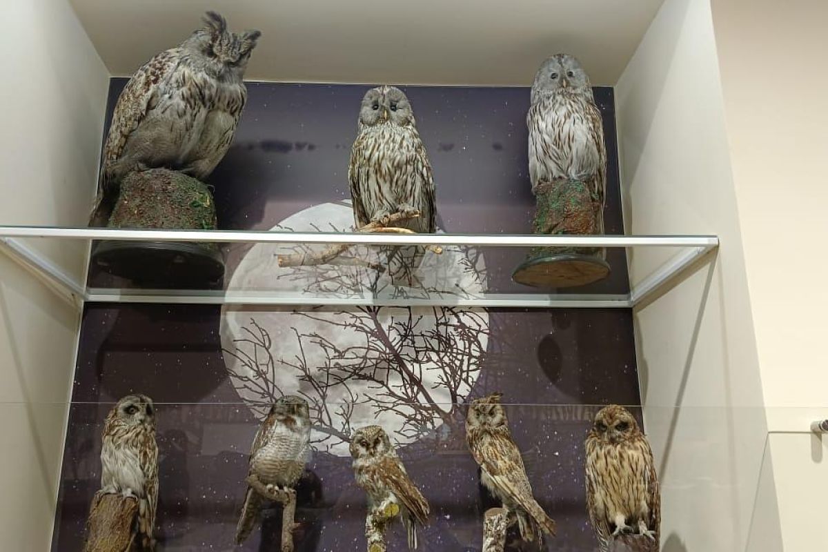 Экскурсия - комфорт для школьников в Минусинск